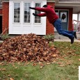Despite only having 4 medium sized trees on my property, I typically have a huge whack of leaves to clean up each fall.  The combination of living beside a green-belt, […]